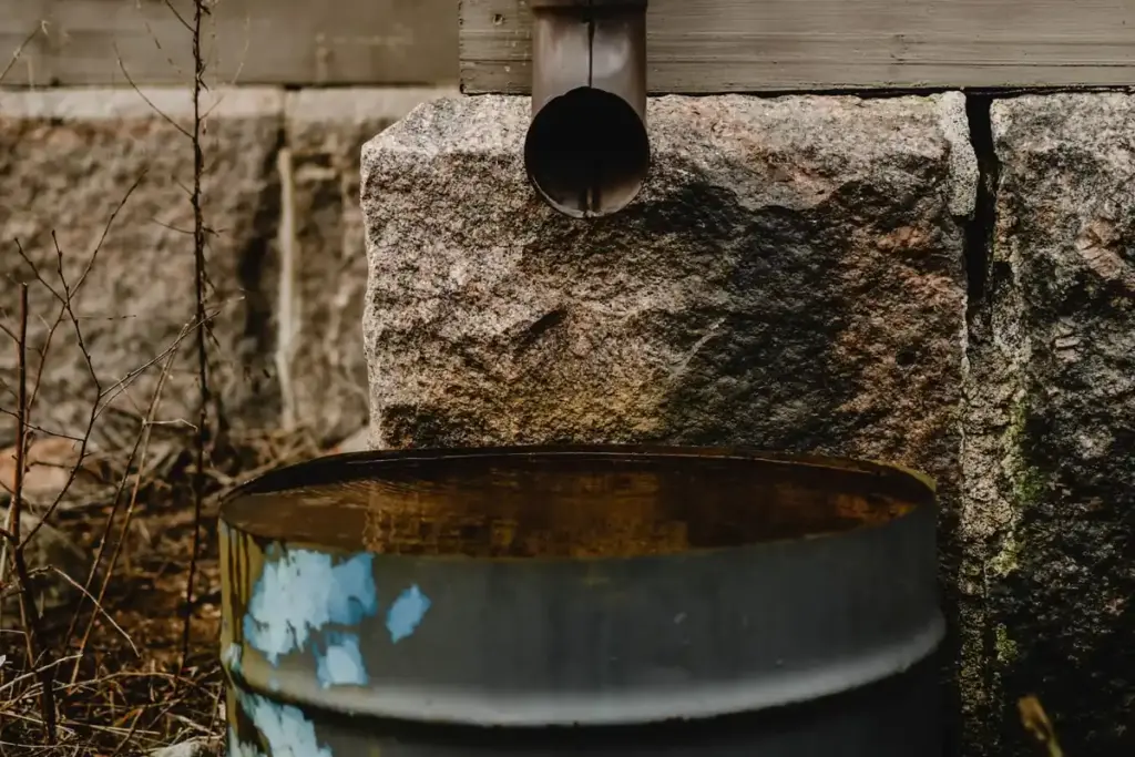 Bidón lleno de agua de lluvia bajo el bajante de una casa