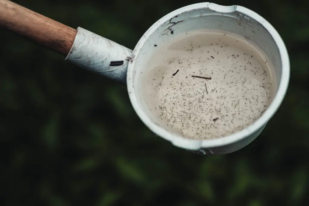 Larvas de mosquito en un cazo con agua estancada