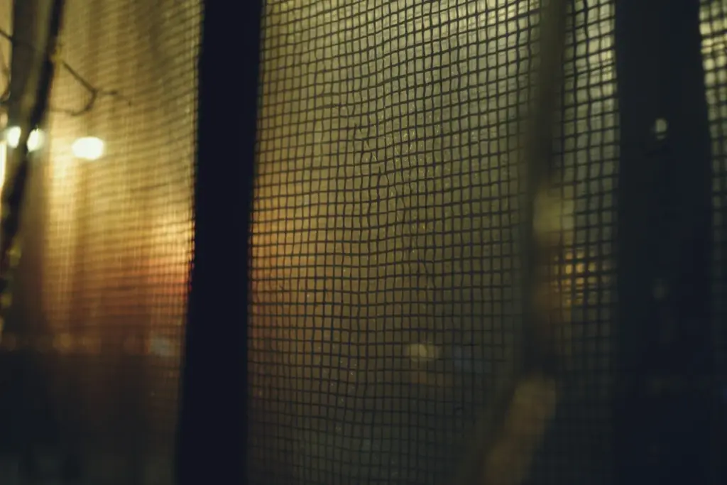 Mosquitera de una ventana por la noche, con luces al fondo