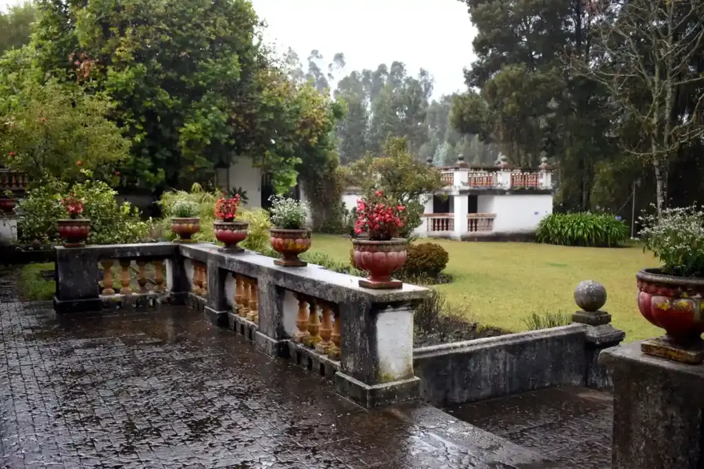 Terraza mojada con macetas después de la lluvia